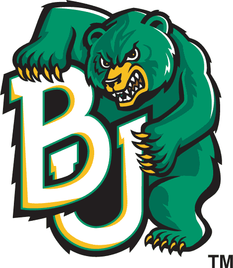 Baylor Bears 1997-2004 Alternate Logo Print Decal
